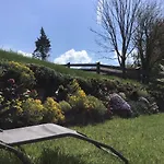 Lederhose * Бишофсвизен
